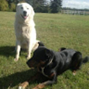 Meet your Posher, Habba